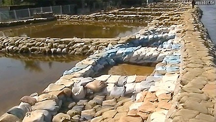 Foto © by Aquadot Flutschutz, Sandsackersatzsysteme Hochwasserschutz, Quellkaden, Schlauchlastfilter, Auflastfilter, Deichverteidigung, Grundbruch, Böschungsbruch, Deiche, Sickerwasseraustritt